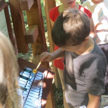 Mlinarjeva pot 14.09.2013 31